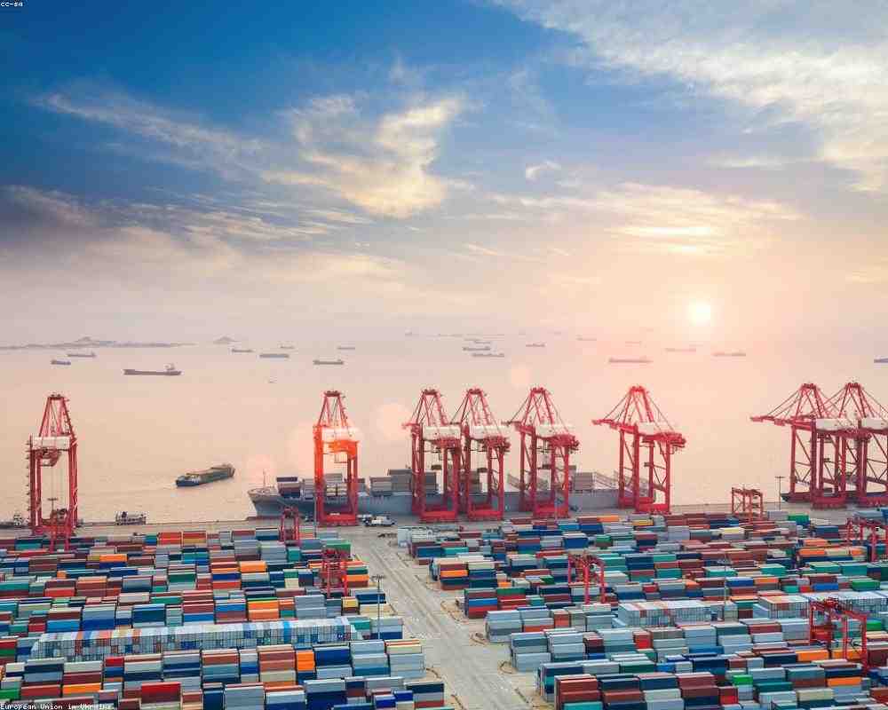 Dnipro Logistics team reviewing shipment manifests